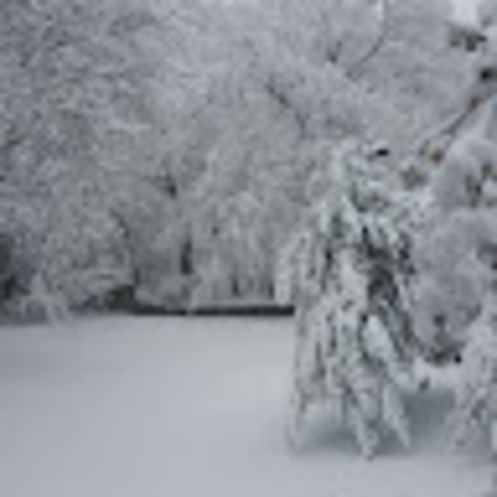 Meet your Posher, Fara